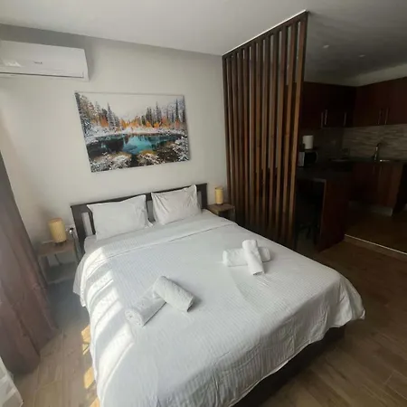 Apartman Premium New Near Center
