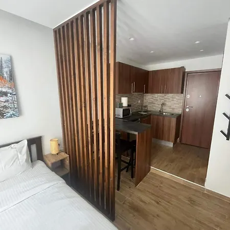 Apartman Premium New Near Center Szaloniki